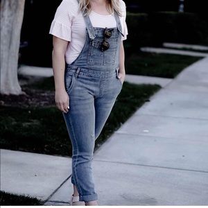 Free People Skinny overalls